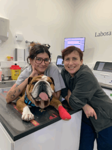 Anicura Vasco da Gama Hospital Veterinário