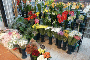 Florista Santos