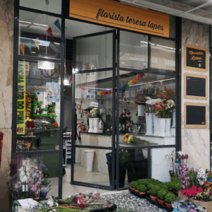 Florista Teresa Lopes