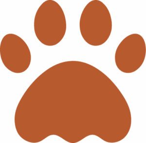 Hund Dog