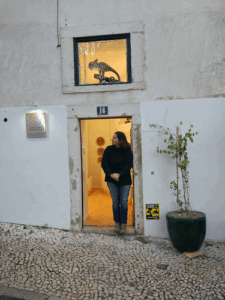 Inútil Arts & Crafts