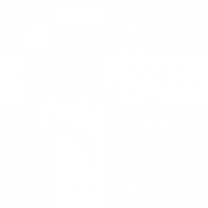 Sandra Rebelo Terapia Quântica