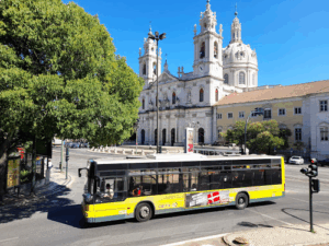 Yellow Bus Tours