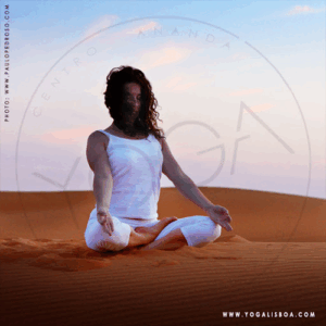 Yoga Lisboa